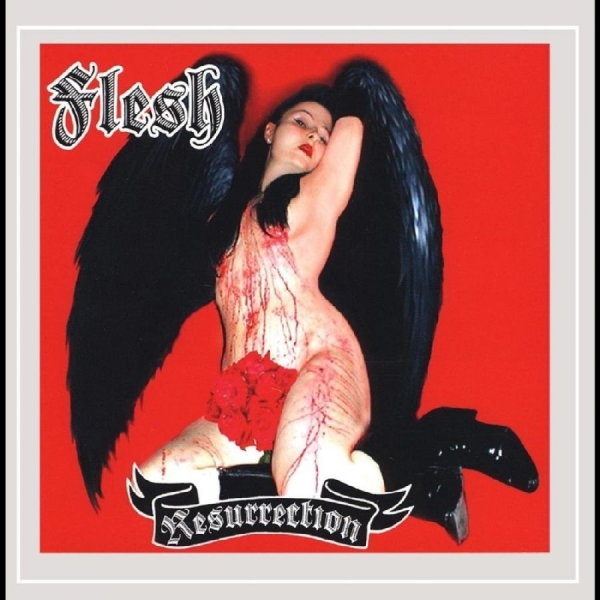 Flesh - Resurrection in der Gruppe CD / Nyheter / Pop-Rock bei Bengans Skivbutik AB (5682243)
