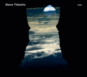 Steve Tibbetts Marc Anderson - Natural Causes in der Gruppe Externt_Lager / Naxoslager bei Bengans Skivbutik AB (568273)