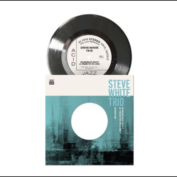 Steve White Trio - Mandrake Root (A Tribute To Jon) in der Gruppe VINYL / Kommande / Jazz bei Bengans Skivbutik AB (5682807)