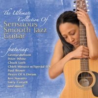 Blandade Artister - Sexual Healing - Smooth Urban Jazz in der Gruppe CD bei Bengans Skivbutik AB (568296)