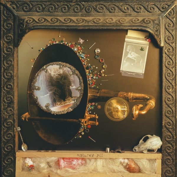 Wishy - Nature's Pill in der Gruppe VINYL / Kommande / Pop-Rock bei Bengans Skivbutik AB (5683560)