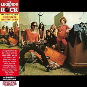Flamin Groovies - Teenage Head in der Gruppe CD / Pop-Rock bei Bengans Skivbutik AB (568565)