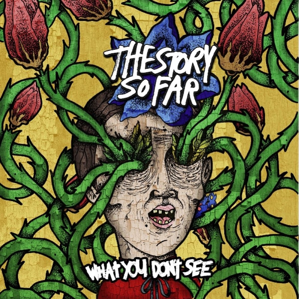 Story So Far The - What You Don't See in der Gruppe VINYL / Kommande / Pop-Rock bei Bengans Skivbutik AB (5685802)