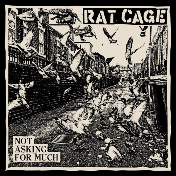 Rat Cage - Not Asking For Much in der Gruppe VINYL / Kommande / Pop-Rock bei Bengans Skivbutik AB (5685851)