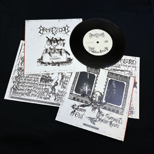 Armagedda - The Storm in der Gruppe VINYL / Nyheter / Hårdrock bei Bengans Skivbutik AB (5685980)