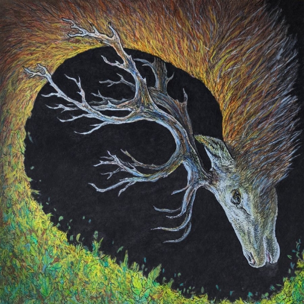 Petrels - Infangthief in der Gruppe CD / Kommande / Pop-Rock bei Bengans Skivbutik AB (5686009)