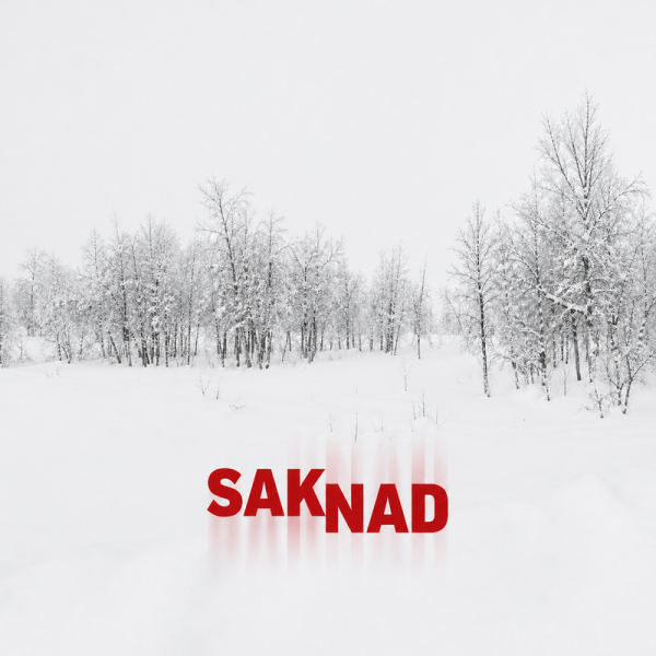 Saknad - Saknad (Black Vinyl LP) in der Gruppe VINYL / Nyheter / Pop-Rock bei Bengans Skivbutik AB (5686143)