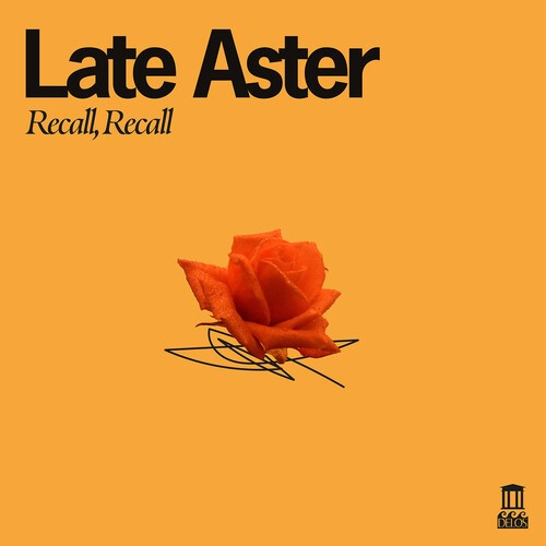 Late Aster - Recall, Recall in der Gruppe VINYL / Klassiskt bei Bengans Skivbutik AB (5686374)
