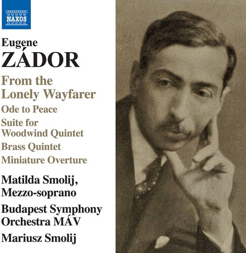 Eugene Zador - From The Lonely Wayfarer in der Gruppe CD / Klassiskt bei Bengans Skivbutik AB (5686402)