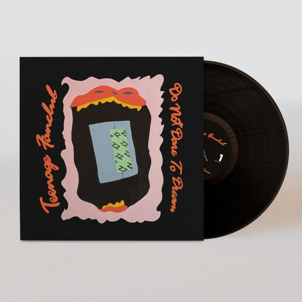 Teenage Fanclub - Do Not Dare To Dream in der Gruppe VINYL / Pop-Rock bei Bengans Skivbutik AB (5686785)