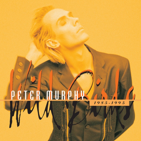 Peter Murphy - Wild Birds 1984-1995 in der Gruppe CD / Bestseller bei Bengans Skivbutik AB (5687121)
