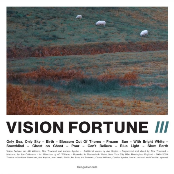 Vision Fortune - Iii in der Gruppe VINYL / Kommande / Pop-Rock bei Bengans Skivbutik AB (5687291)