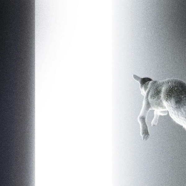 Panoram - Keep Looking Where The Light Comes in der Gruppe VINYL / Bestseller bei Bengans Skivbutik AB (5687594)