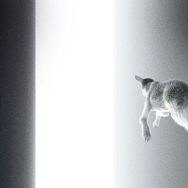 Panoram - Keep Looking Where The Light Comes in der Gruppe VINYL / Pop-Rock bei Bengans Skivbutik AB (5687594)