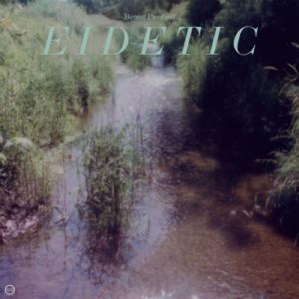 Pioulard Benoit - Eidetic in der Gruppe VINYL / Bestseller bei Bengans Skivbutik AB (5687618)