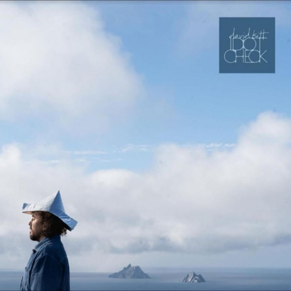 Kitt David - Idiot Check in der Gruppe VINYL / Bestseller bei Bengans Skivbutik AB (5687622)