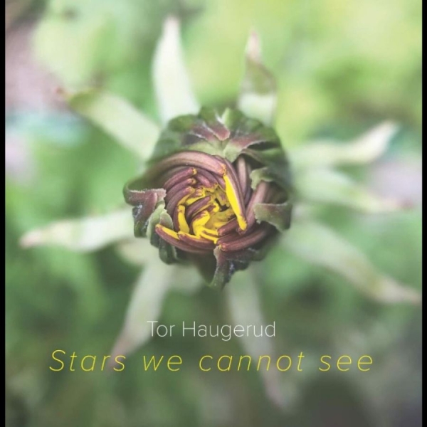 Haugerudtor - Stars We Cannot See (Vinyl) in der Gruppe VINYL / Jazz bei Bengans Skivbutik AB (5687891)