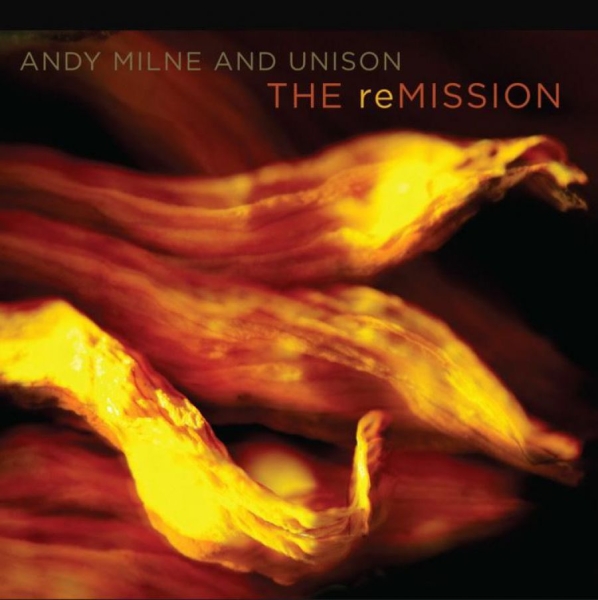 Milne Andy (And Unison) - Remission in der Gruppe CD / Bestseller bei Bengans Skivbutik AB (5687971)