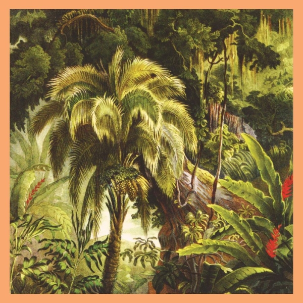 Xiu Xiu - La Foret (Jade Eco-Mix Vinyl) in der Gruppe VINYL / Kommande / Pop-Rock bei Bengans Skivbutik AB (5688014)