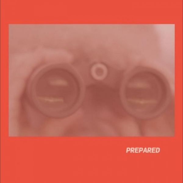 Martin Laura J - Prepared in der Gruppe VINYL / Bestseller bei Bengans Skivbutik AB (5688064)