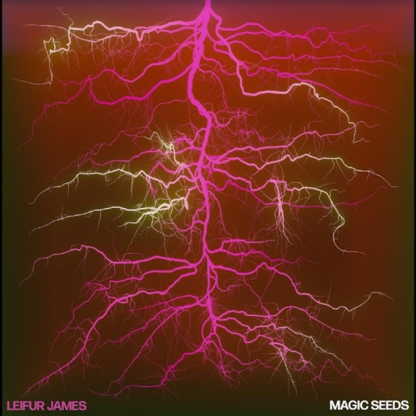 Leifur James - Magic Seeds in der Gruppe VINYL / Bestseller bei Bengans Skivbutik AB (5688183)