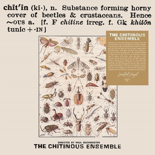 The Chitinous Ensemble - Chitinous in der Gruppe VINYL / Jazz bei Bengans Skivbutik AB (5688608)