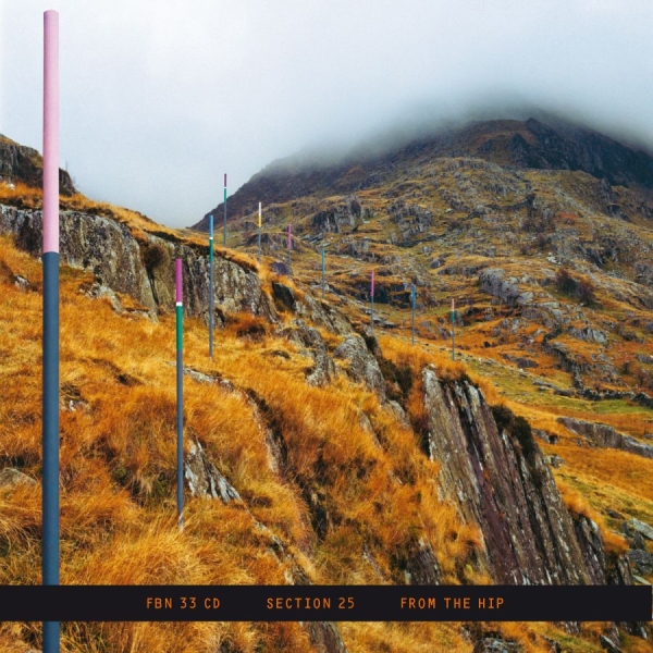 Section 25 - From The Hip in der Gruppe CD / Bestseller bei Bengans Skivbutik AB (5688676)