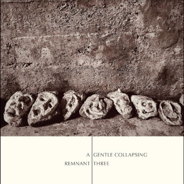 Remnant Three - A Gentle Collapsing in der Gruppe CD / Bestseller bei Bengans Skivbutik AB (5689271)