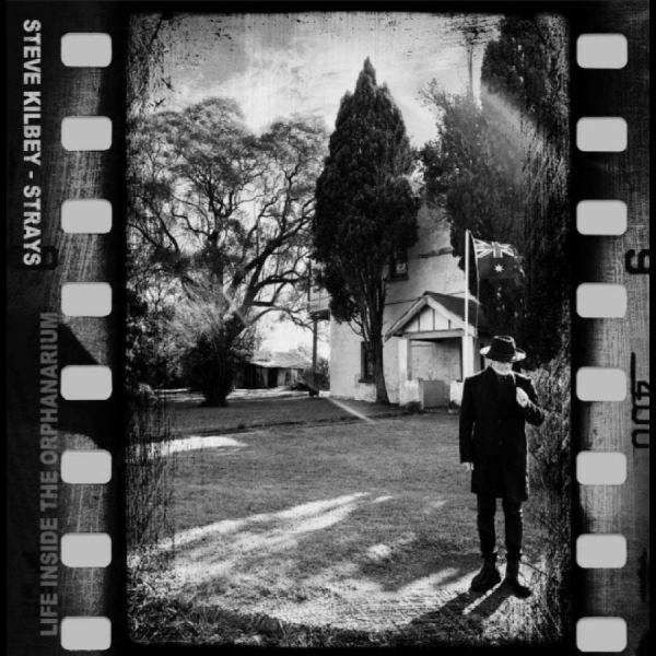 Steve Kilbey - Strays (Life Inside The Orphanarium in der Gruppe CD / Kommande / Pop-Rock bei Bengans Skivbutik AB (5689292)