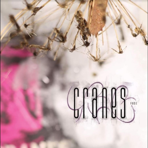 Cranes - Fuse in der Gruppe CD / Bestseller bei Bengans Skivbutik AB (5689502)