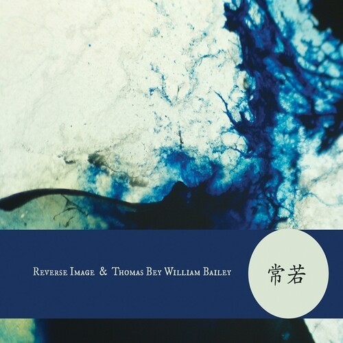 Reverse Image + Thomas Bey William - Tokokawa in der Gruppe CD / Bestseller bei Bengans Skivbutik AB (5689746)