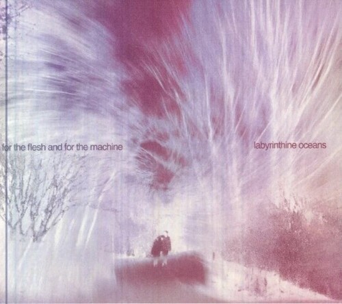 Labyrinthine Oceans - For The Flesh And For The Machine in der Gruppe CD / Pop-Rock bei Bengans Skivbutik AB (5689829)