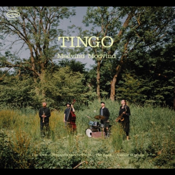 Tingo - Medvind Modvind in der Gruppe VINYL / Kommande / Jazz bei Bengans Skivbutik AB (5689941)