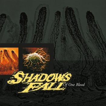 Shadows Fall - Of One Blood in der Gruppe CD / Hårdrock bei Bengans Skivbutik AB (5689989)