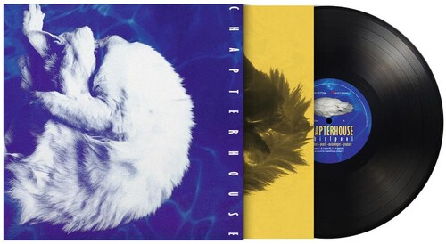 Chapterhouse - Whirlpool in der Gruppe VINYL / Pop-Rock bei Bengans Skivbutik AB (5690228)