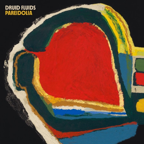 Druid Fluids - Pareidolia in der Gruppe CD / Kommande / Pop-Rock bei Bengans Skivbutik AB (5690449)