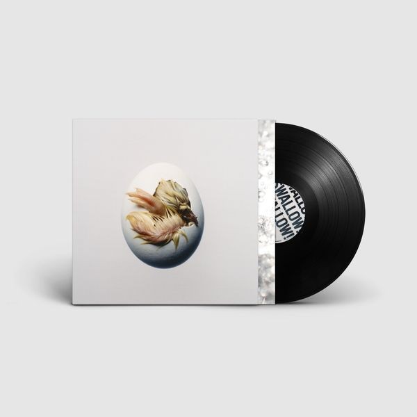 Shygirl - Swallow! (Vinyl) in der Gruppe VINYL / Pop-Rock bei Bengans Skivbutik AB (5690516)
