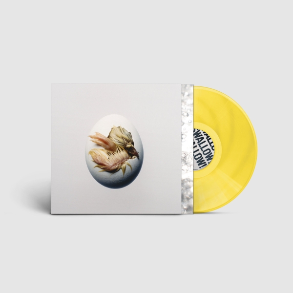 Shygirl - Swallow! (Colored Vinyl) in der Gruppe VINYL / Kommande / Pop-Rock bei Bengans Skivbutik AB (5690517)