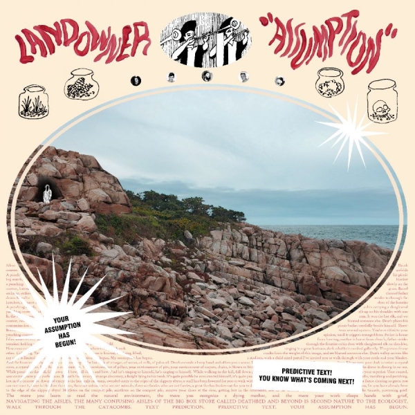 Landowner - Assumption (Electric Smoke Vinyl) in der Gruppe VINYL / Kommande / Pop-Rock bei Bengans Skivbutik AB (5690594)