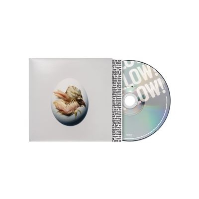 Shygirl - Swallow! in der Gruppe CD / Kommande / Pop-Rock bei Bengans Skivbutik AB (5690618)