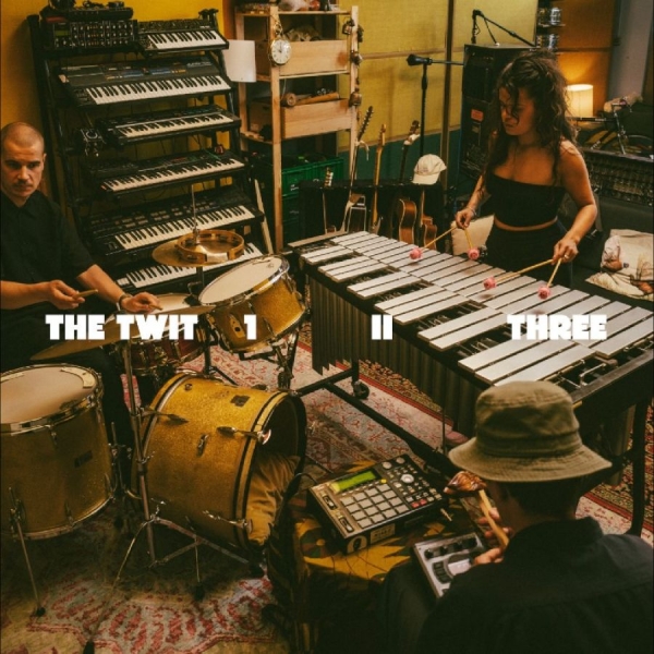 The Twit 1 Ii Three - The Twit 1, Ii, Three in der Gruppe VINYL / Meistvorbestellt bei Bengans Skivbutik AB (5690885)