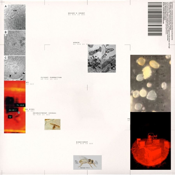 Polygonia Simon Popp - Apiformes in der Gruppe VINYL / Kommande / Jazz bei Bengans Skivbutik AB (5690957)