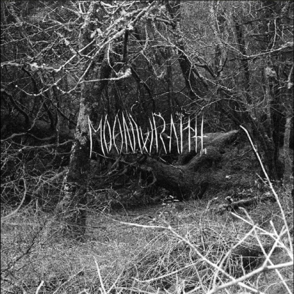 Moonwraith - To The Woods in der Gruppe CD / Kommande / Pop-Rock bei Bengans Skivbutik AB (5691166)