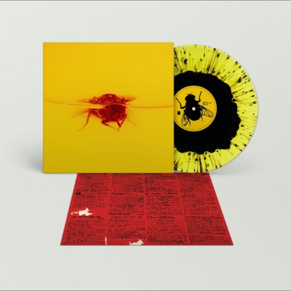 Gift - Frenzy For The Thrill in der Gruppe VINYL / Kommande / Pop-Rock bei Bengans Skivbutik AB (5691511)