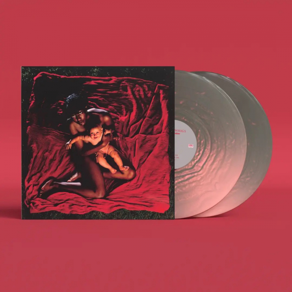 Afghan Whigs - Congregation (Anniversary Edition P in der Gruppe VINYL / Kommande / Pop-Rock bei Bengans Skivbutik AB (5692372)