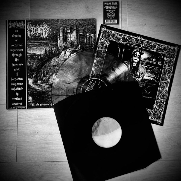 Black Door - In The Shadows Of A Funerary Gleam in der Gruppe VINYL / Kommande / Hårdrock bei Bengans Skivbutik AB (5692542)