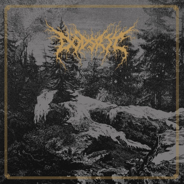 Dödsrit - Mortal Coil (Mist Vinyl Lp W/Obi) in der Gruppe VINYL / Kommande / Hårdrock bei Bengans Skivbutik AB (5693445)