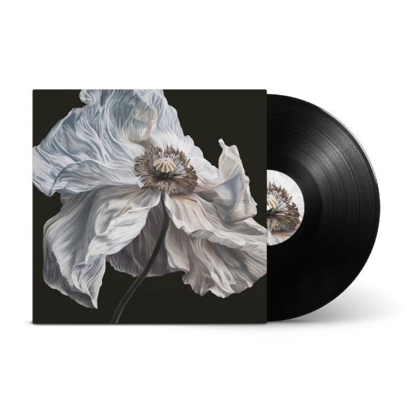 Quicksand - Bring On The Psychics in der Gruppe VINYL / Pop-Rock bei Bengans Skivbutik AB (5693558)