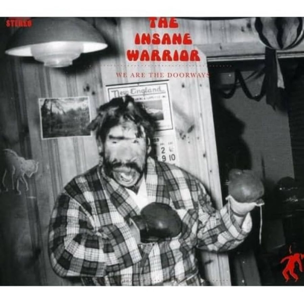 The Insane Warrior (Rjd2) - We Are The Doorways in der Gruppe CD / Bestseller bei Bengans Skivbutik AB (5693772)