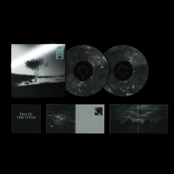Joji - Piss In The Wind (Deluxe Edition) RSD Black Friday in der Gruppe UNSERE TIPPS / Record Store Day / RSD BF 2026 bei Bengans Skivbutik AB (5694097)